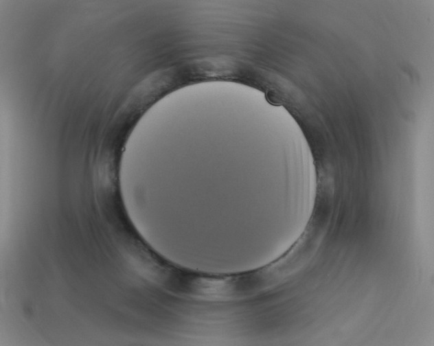 X0000113050170200910081239