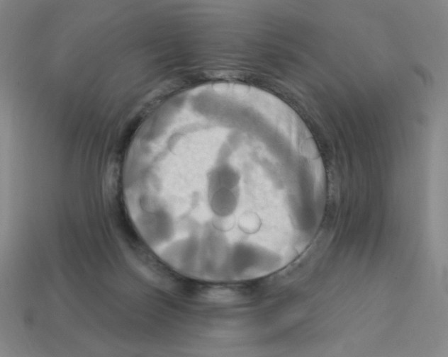 X0000113050171200910081239
