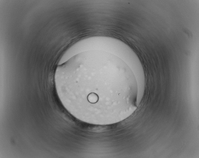 X0000113050172200910081239