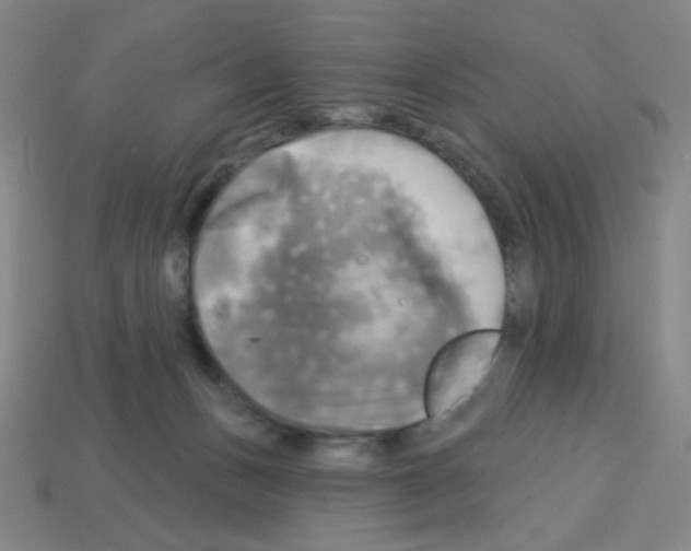 X0000113050175200910081239