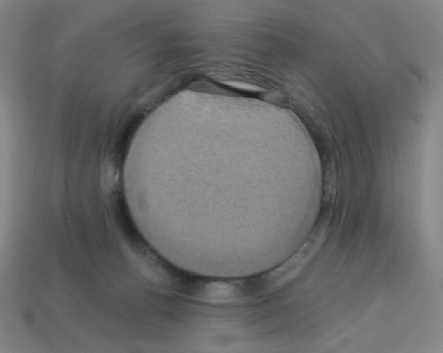 X0000113050176200910081239