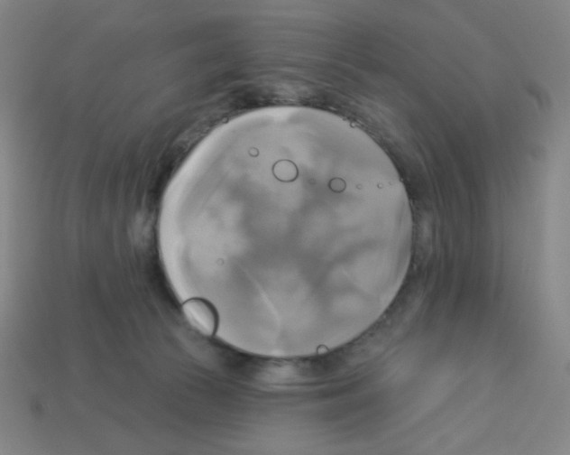 X0000113050177200910081239
