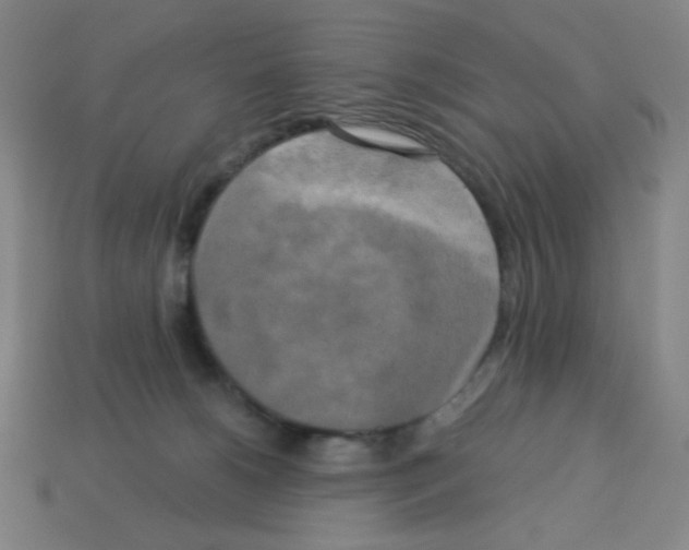 X0000113050180200910081239