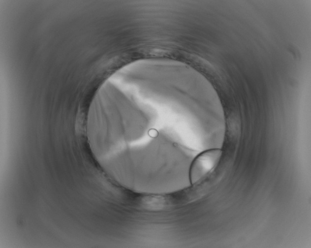 X0000113050181200910081239
