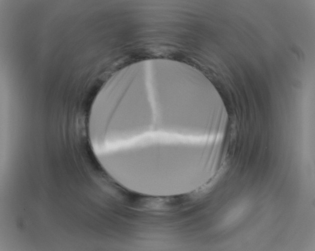 X0000113050182200910081239