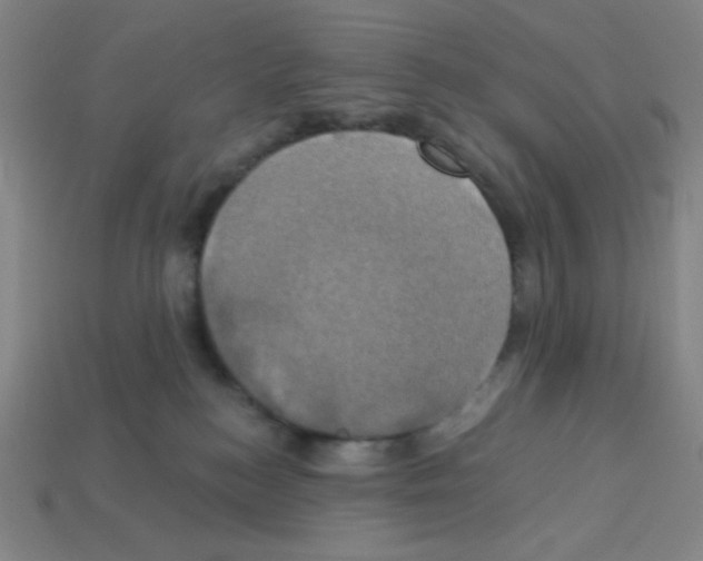 X0000113050184200910081239