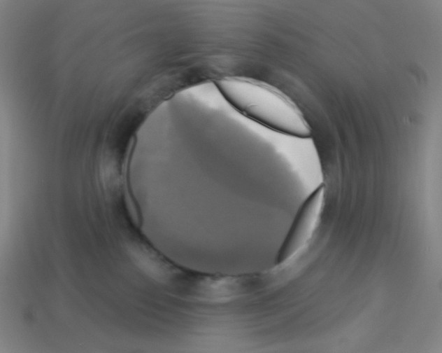X0000113050186200910081239