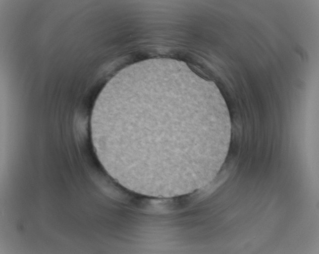 X0000113050188200910081239