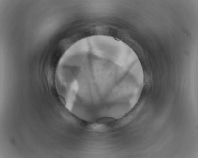 X0000113050189200910081239