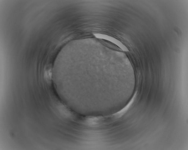 X0000113050190200910081239
