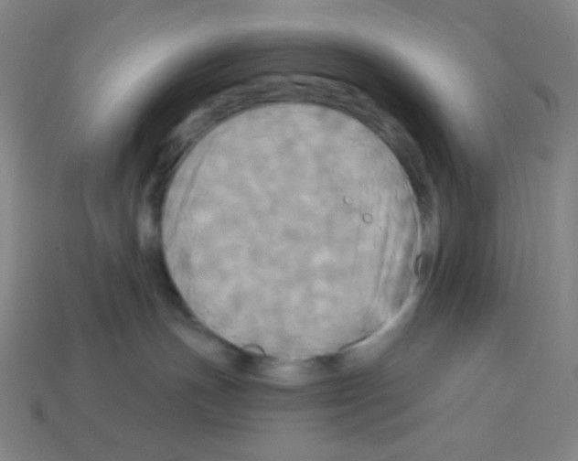 X0000113050191200910081239