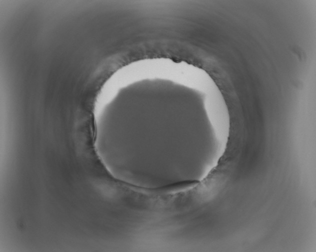 X0000113050192200910081239