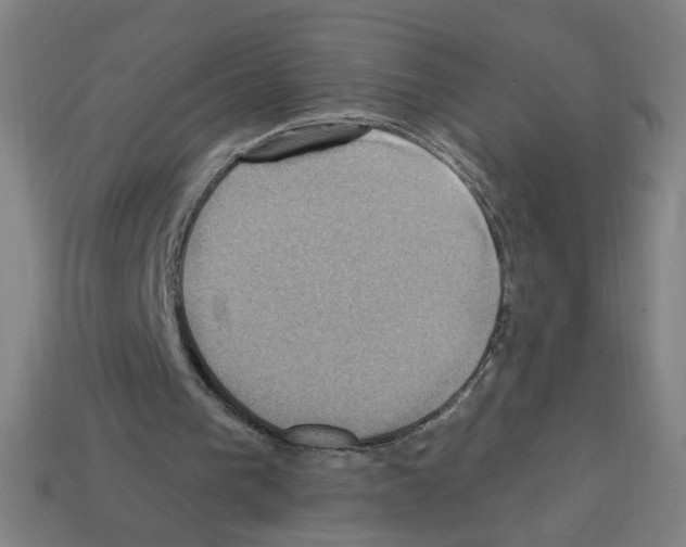 X0000113050193200910081238