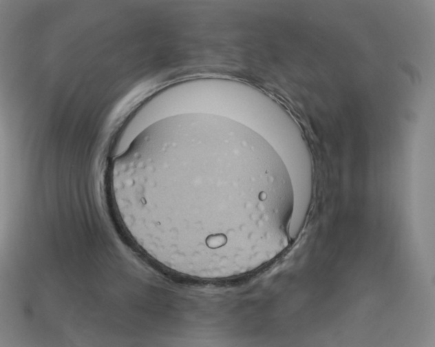 X0000113050197200910081238