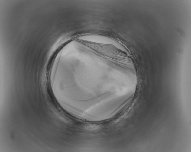 X0000113050198200910081238
