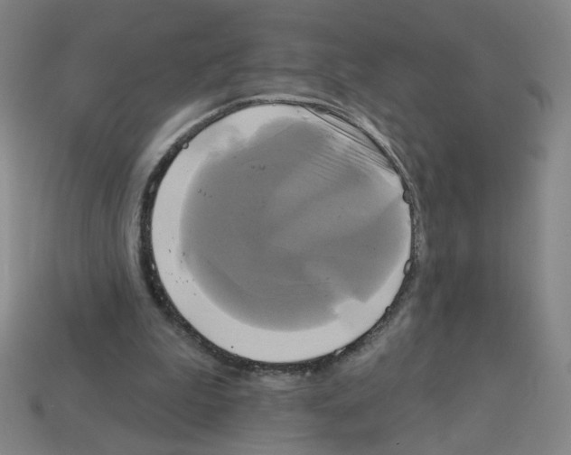 X0000113050199200910081238
