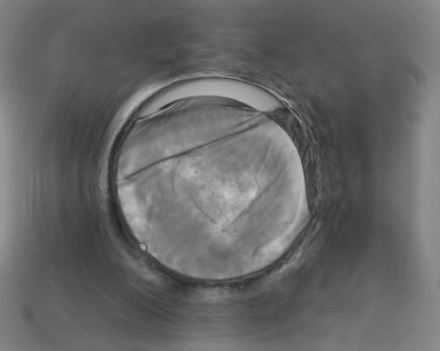 X0000113050200200910081238
