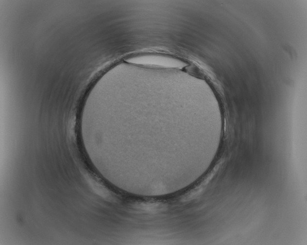 X0000113050201200910081238