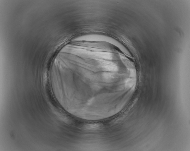 X0000113050202200910081238
