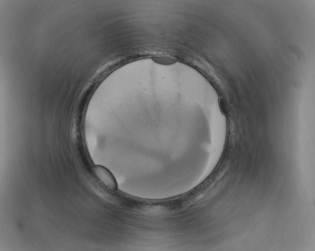X0000113050203200910081238
