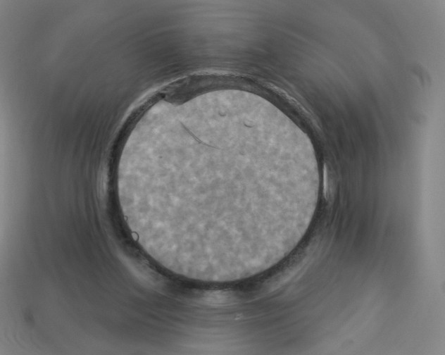 X0000113050204200910081238