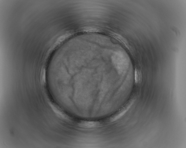 X0000113050205200910081238