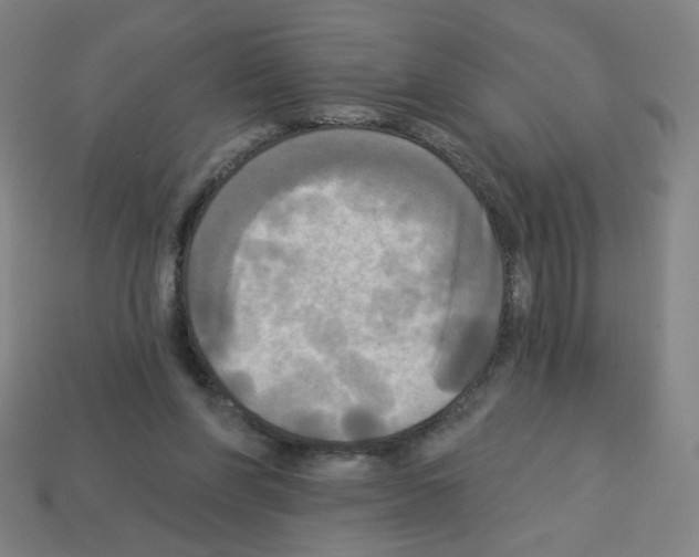 X0000113050206200910081238