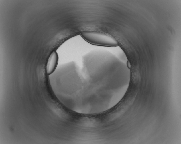 X0000113050207200910081238