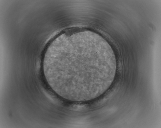 X0000113050208200910081238