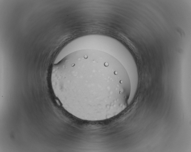 X0000113050209200910081238