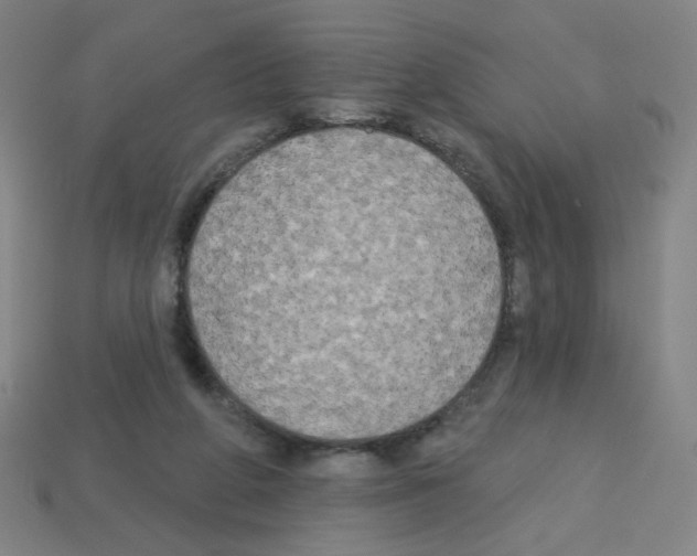 X0000113050210200910081238