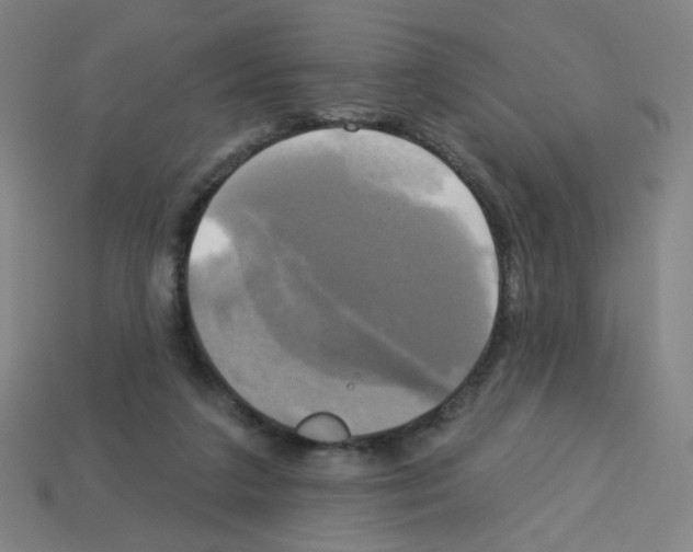 X0000113050211200910081238