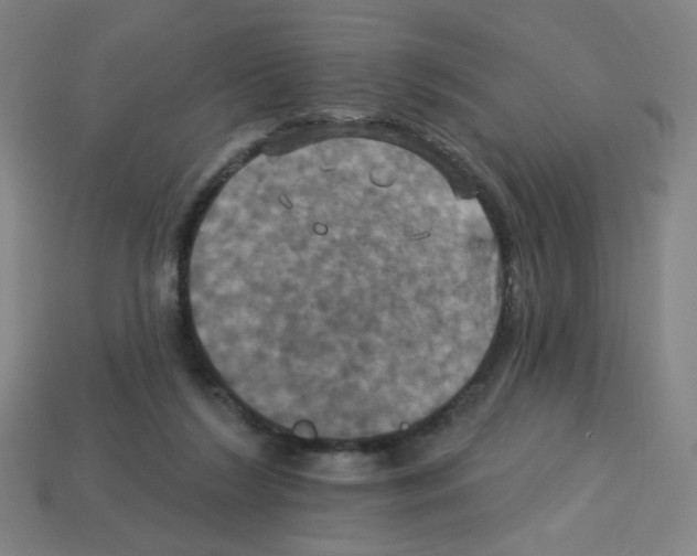 X0000113050212200910081238