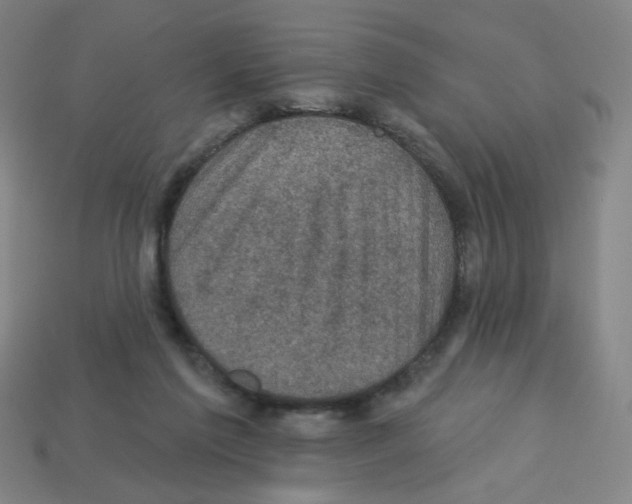 X0000113050213200910081238