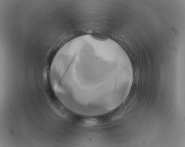 X0000113050214200910081238