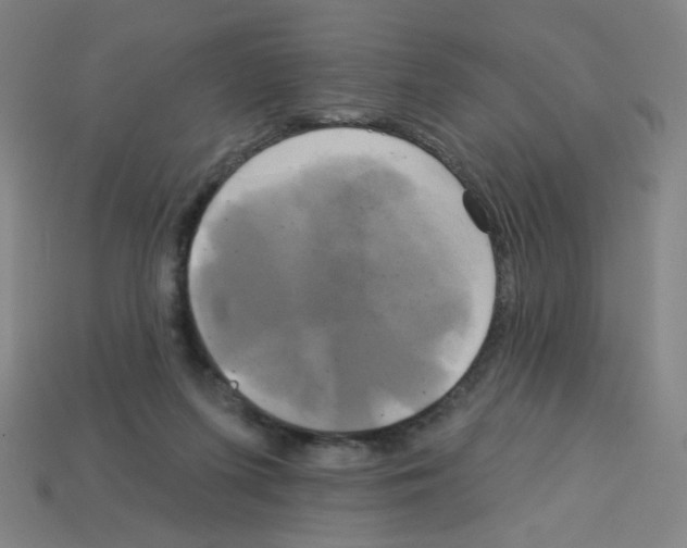 X0000113050215200910081238