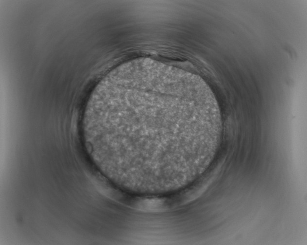 X0000113050217200910081238