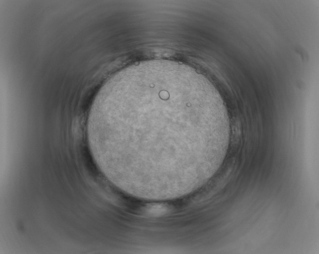 X0000113050218200910081238