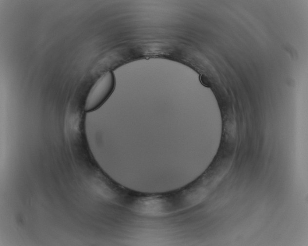 X0000113050219200910081238
