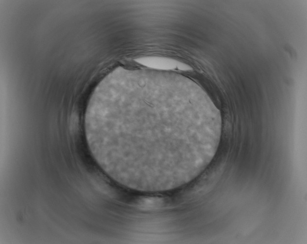 X0000113050220200910081238