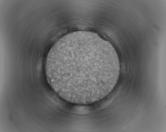 X0000113050221200910081238