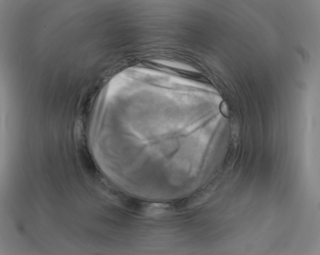 X0000113050222200910081238