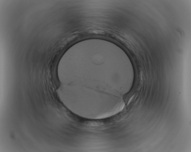 X0000113050223200910081238