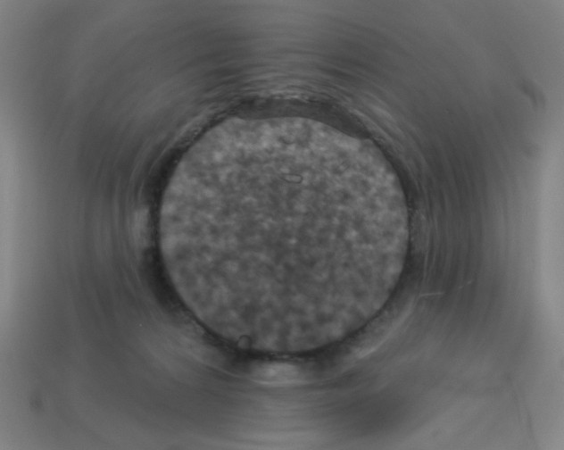 X0000113050224200910081238
