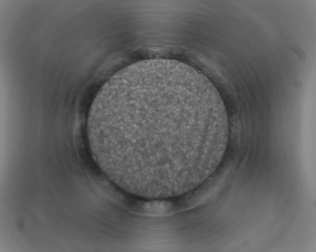 X0000113050225200910081238