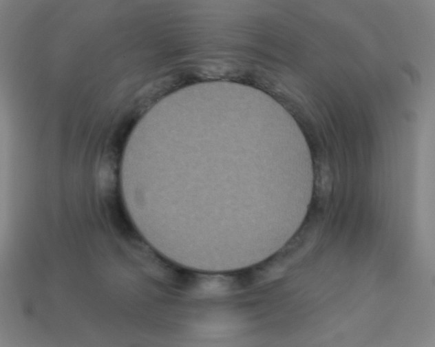 X0000113050226200910081238