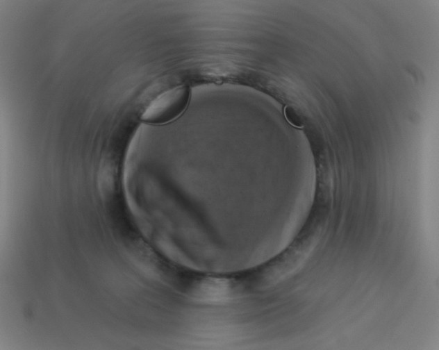 X0000113050227200910081238
