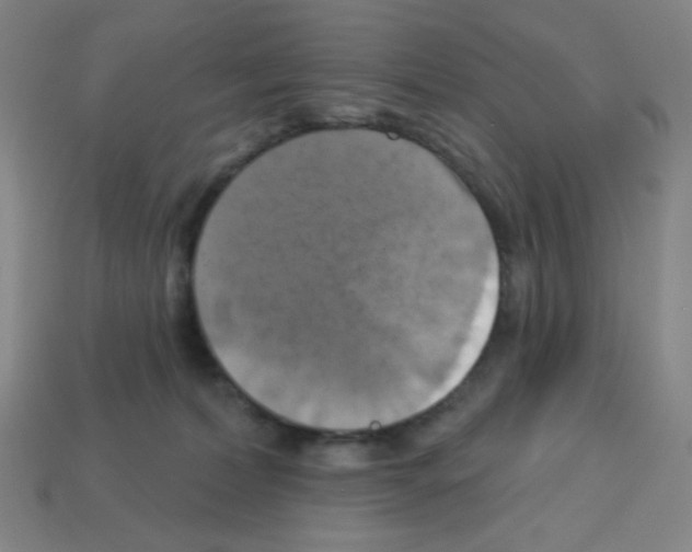 X0000113050228200910081238