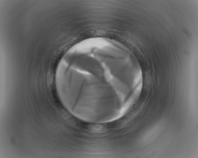 X0000113050230200910081238