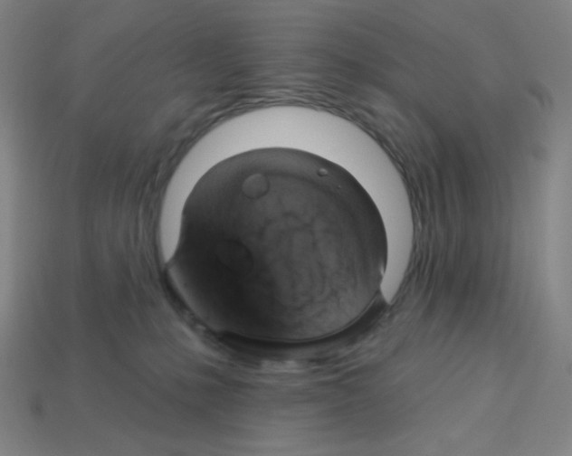 X0000113050231200910081238